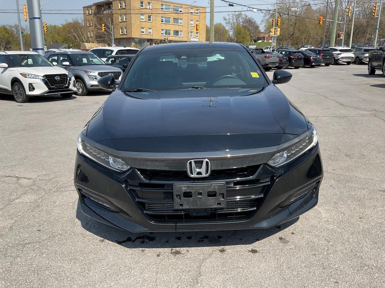 2019 Honda Accord Sport 1.5T (M6) 4dr Sedan Photo