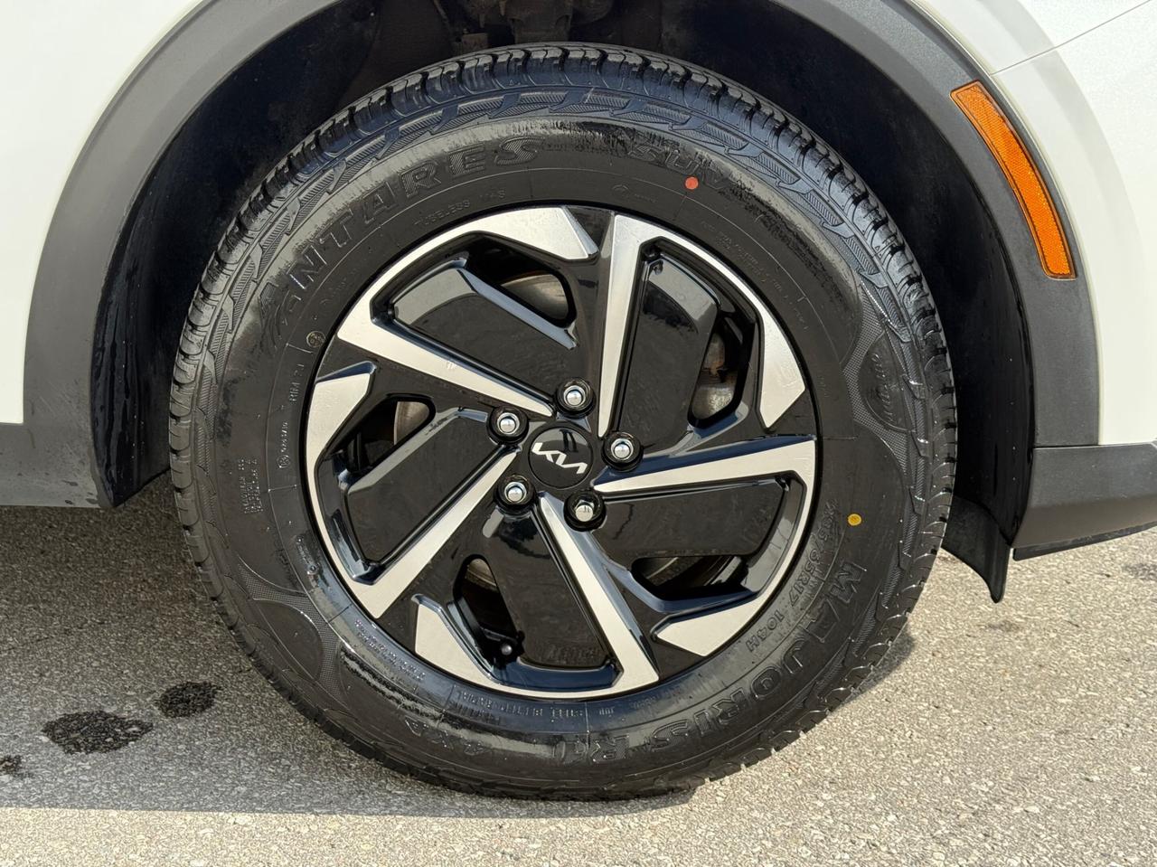 2023 Kia Sportage EX    AWD   HYBRID   NO ACCIDENT Photo