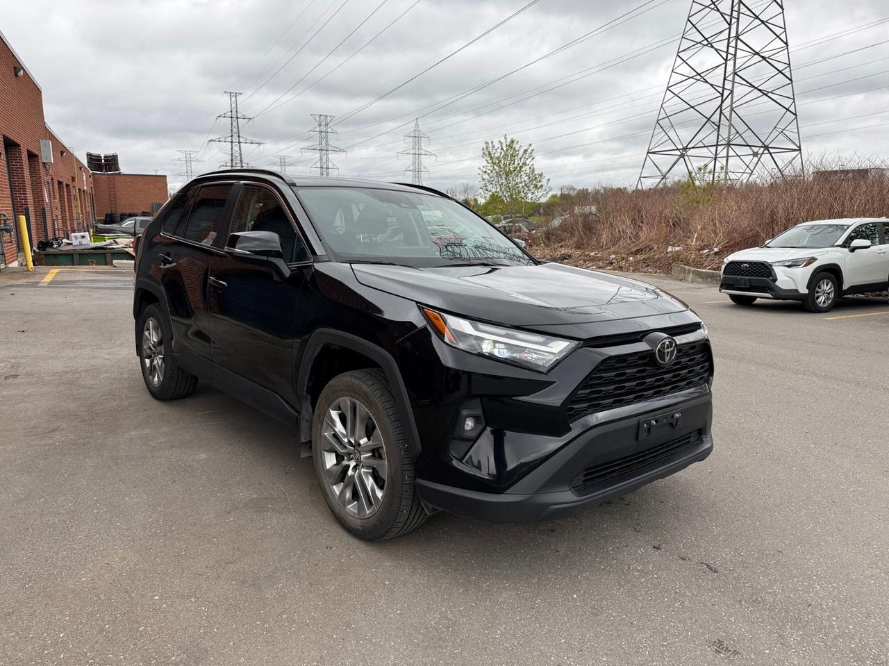 2025 Toyota RAV4 XLE AWD, PREMIUM, LEATHER, SUNROOF Photo