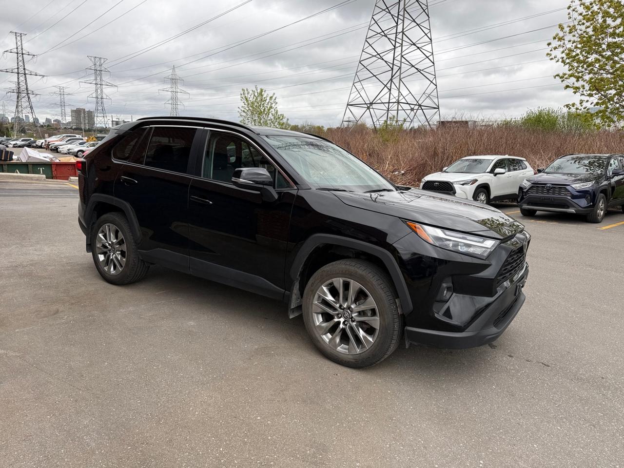 2025 Toyota RAV4 XLE AWD, PREMIUM, LEATHER, SUNROOF Photo