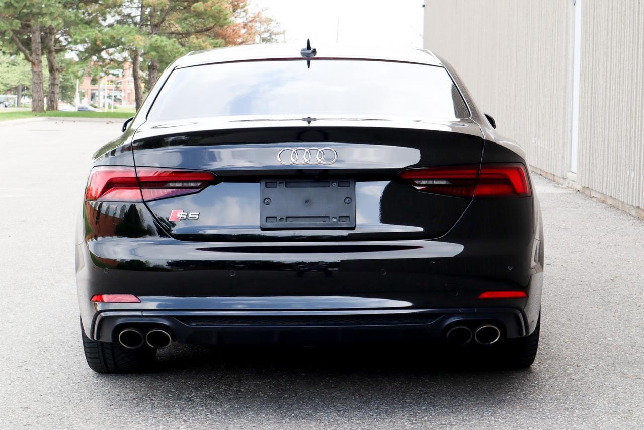 2019 Audi S5  Photo