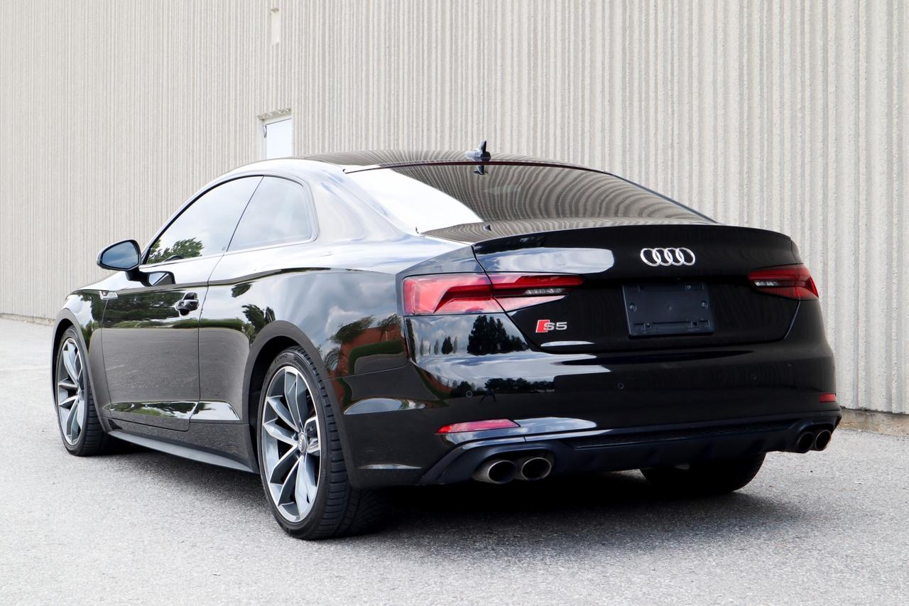 2019 Audi S5  Photo