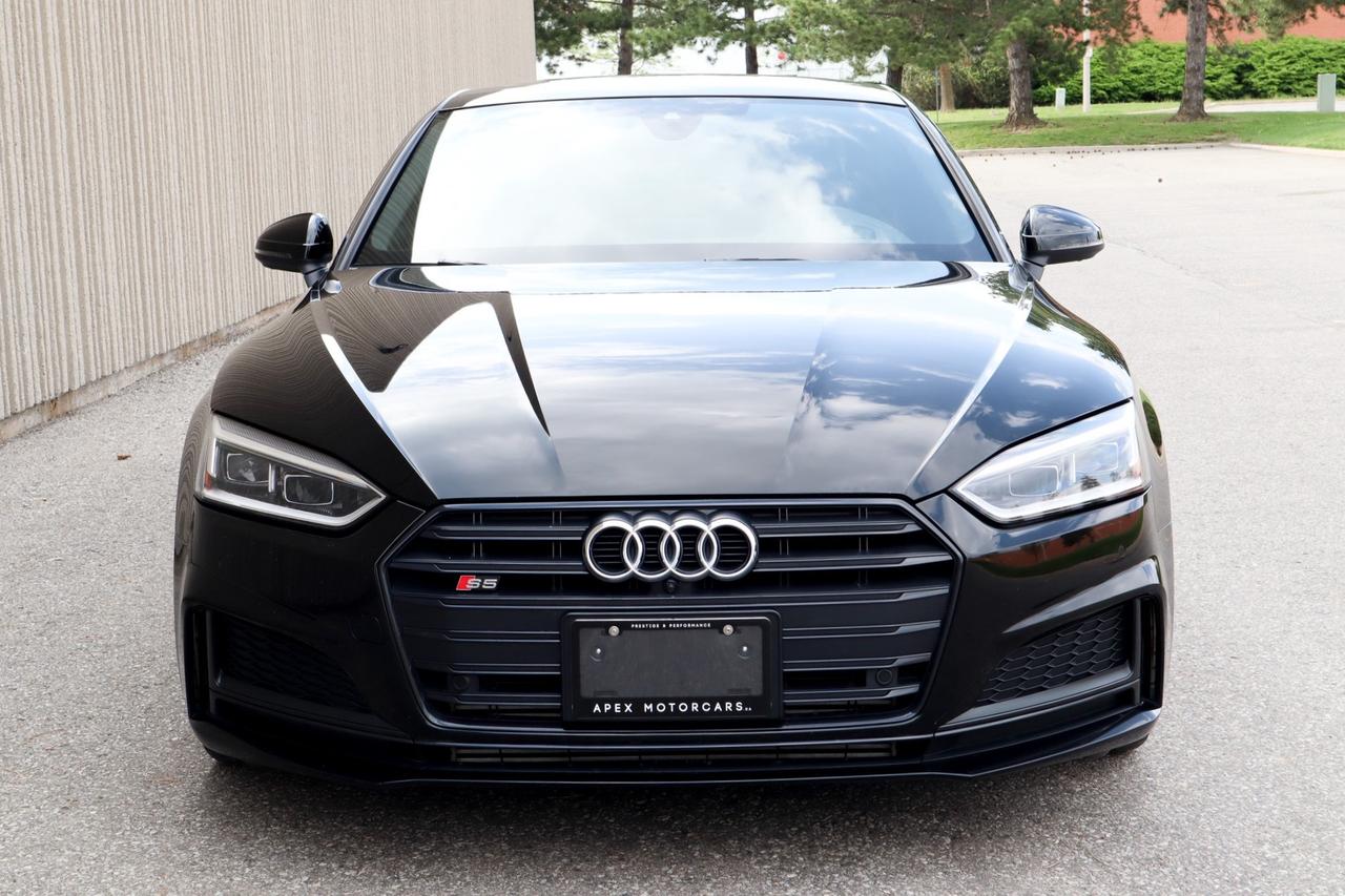 2019 Audi S5  Photo