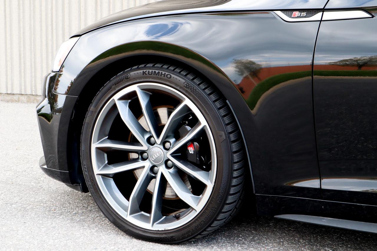 2019 Audi S5  Photo