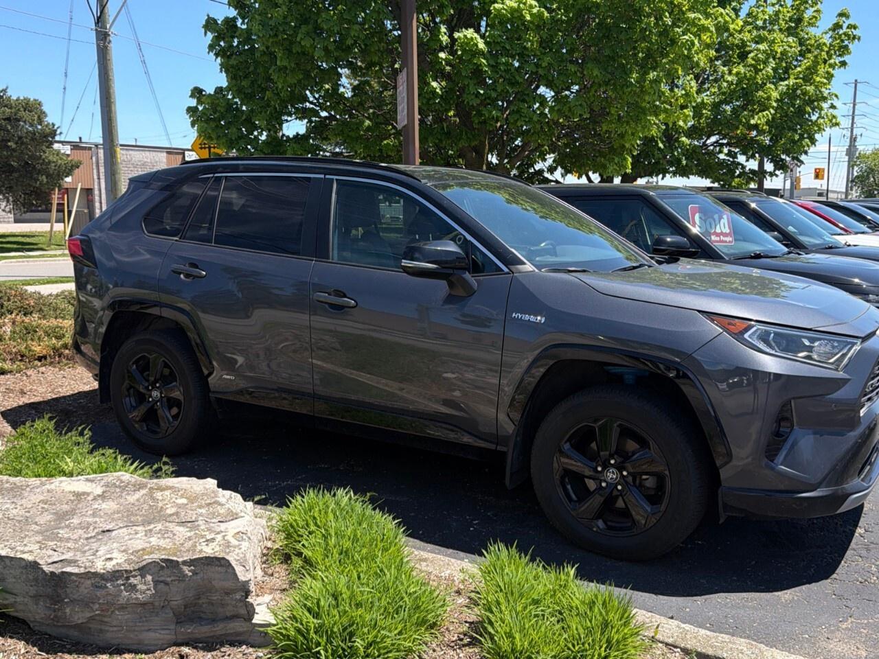 2020 Toyota RAV4 Hybrid XLE AWD Photo