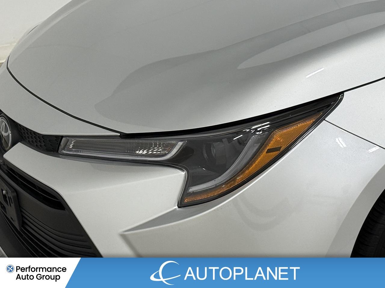 2024 Toyota Corolla LE, Heated Seats, Apple CarPlay, Back Up Cam! Photo