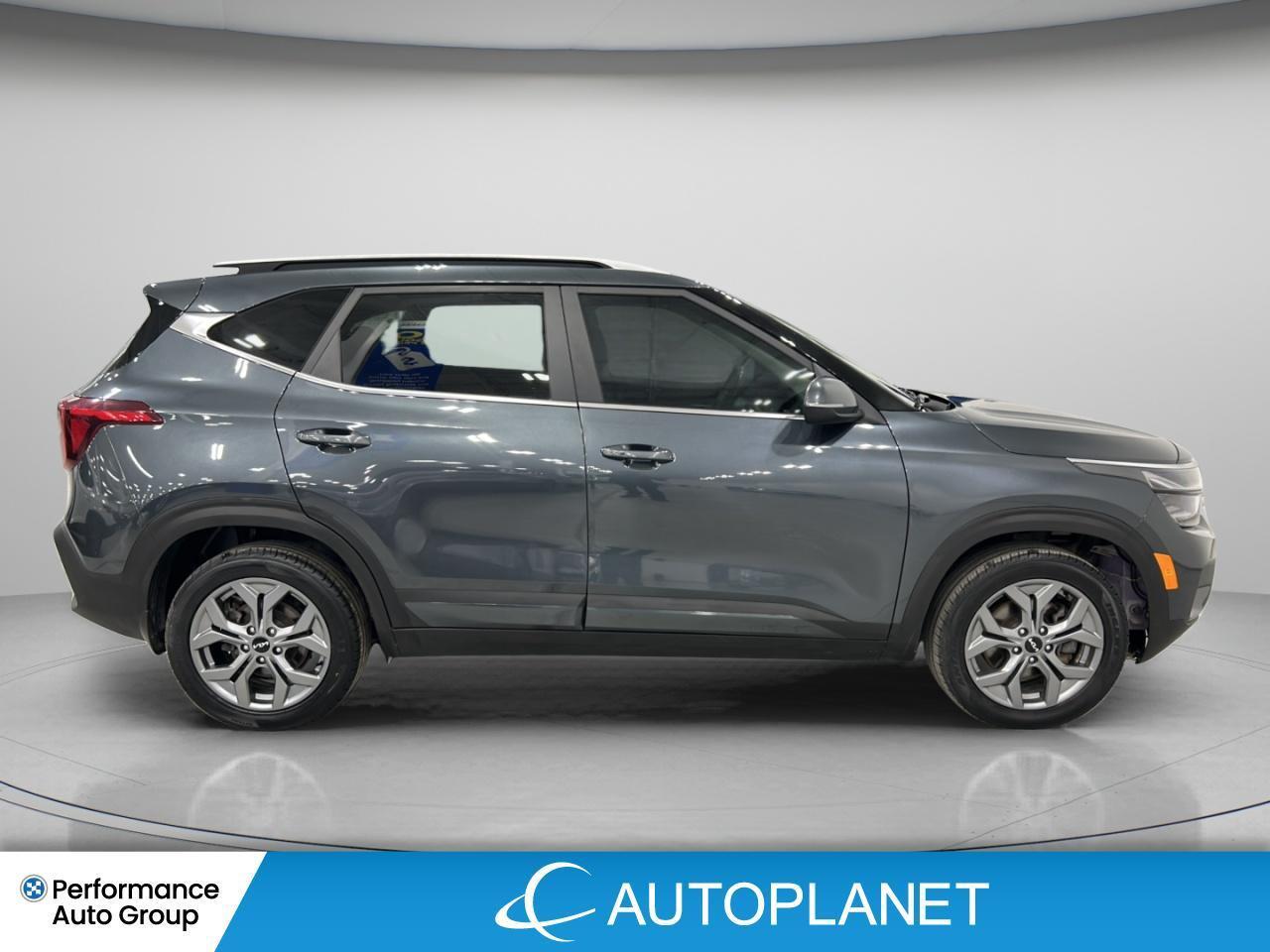 2024 Kia Seltos EX AWD, Sunroof, Heated Seats, Bluetooth! Photo3