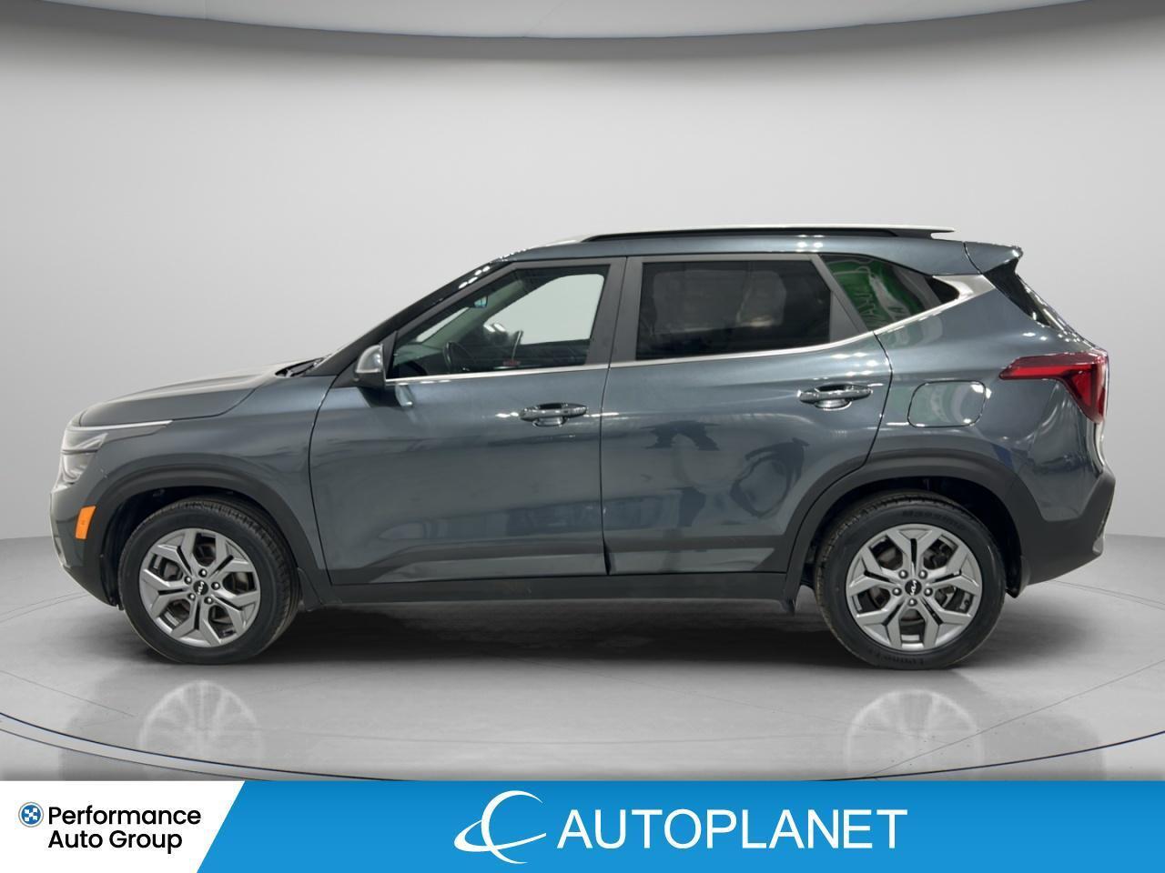 2024 Kia Seltos EX AWD, Sunroof, Heated Seats, Bluetooth! Photo