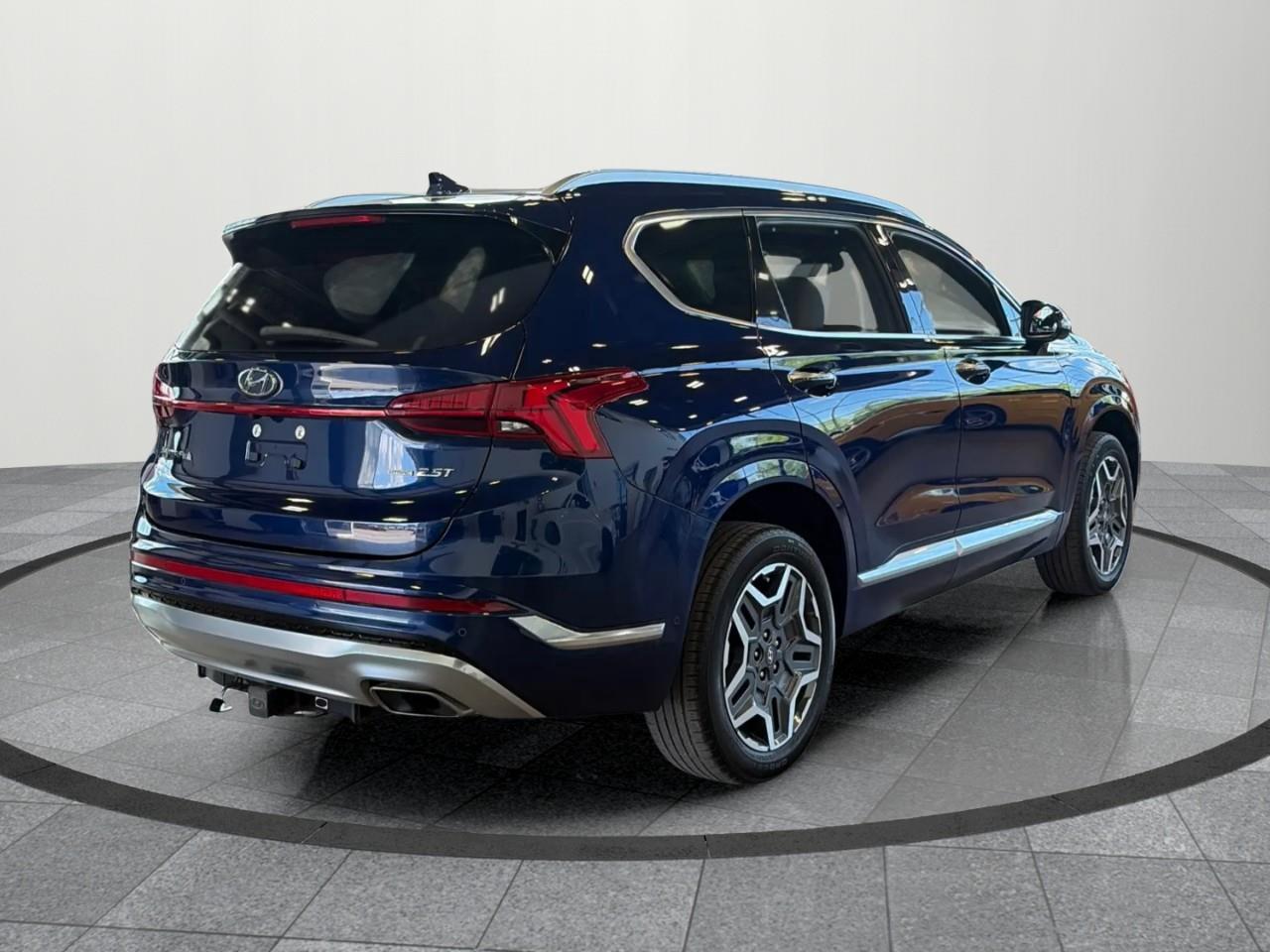 2021 Hyundai Santa Fe Ultimate Calligraphy 4dr All-Wheel Drive Photo