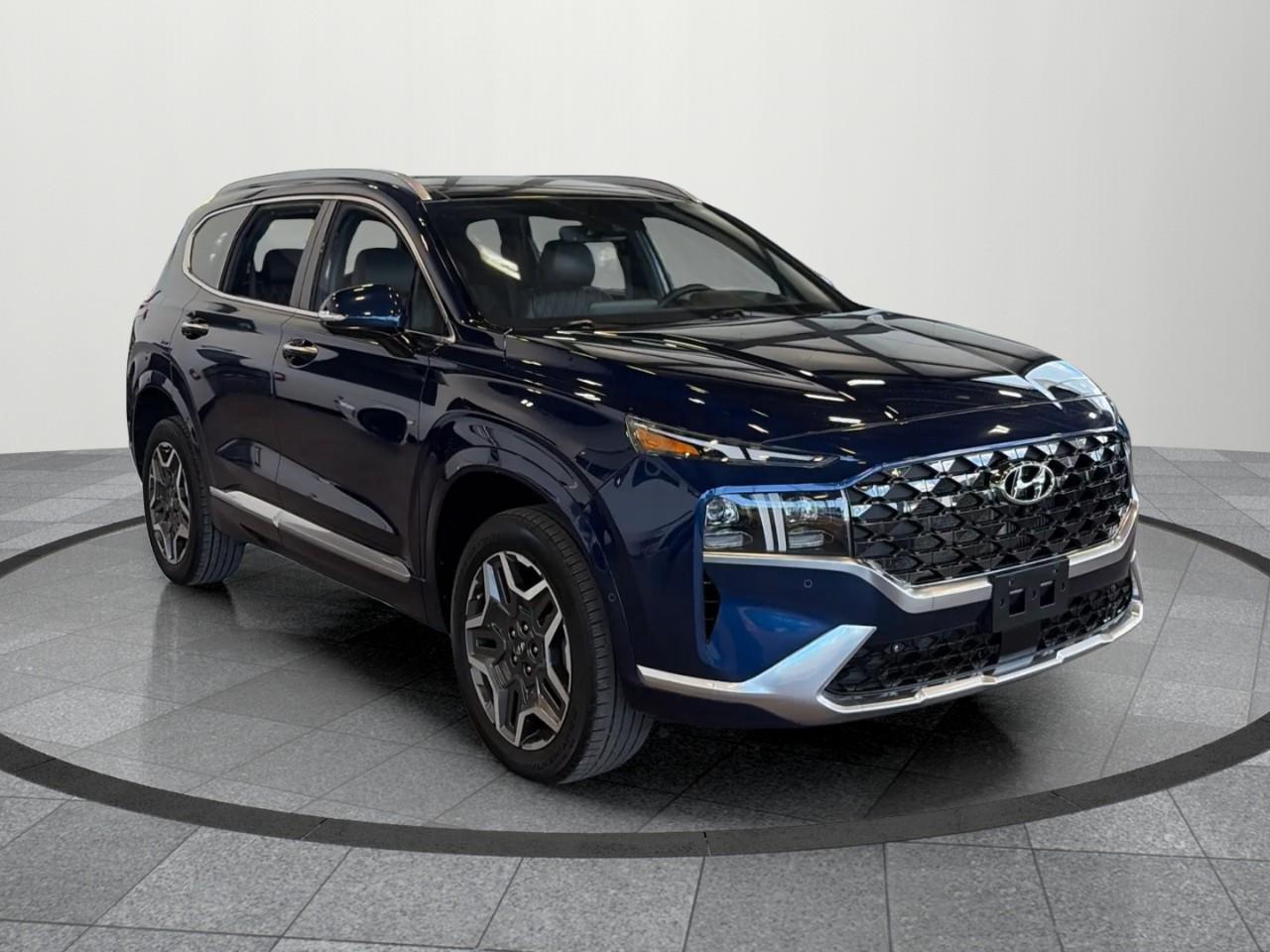 2021 Hyundai Santa Fe Ultimate Calligraphy 4dr All-Wheel Drive Photo