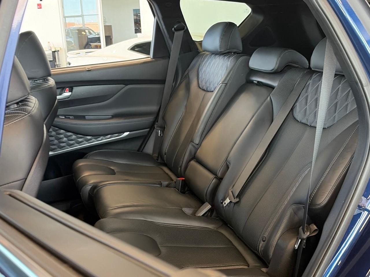 2021 Hyundai Santa Fe Ultimate Calligraphy 4dr All-Wheel Drive Photo
