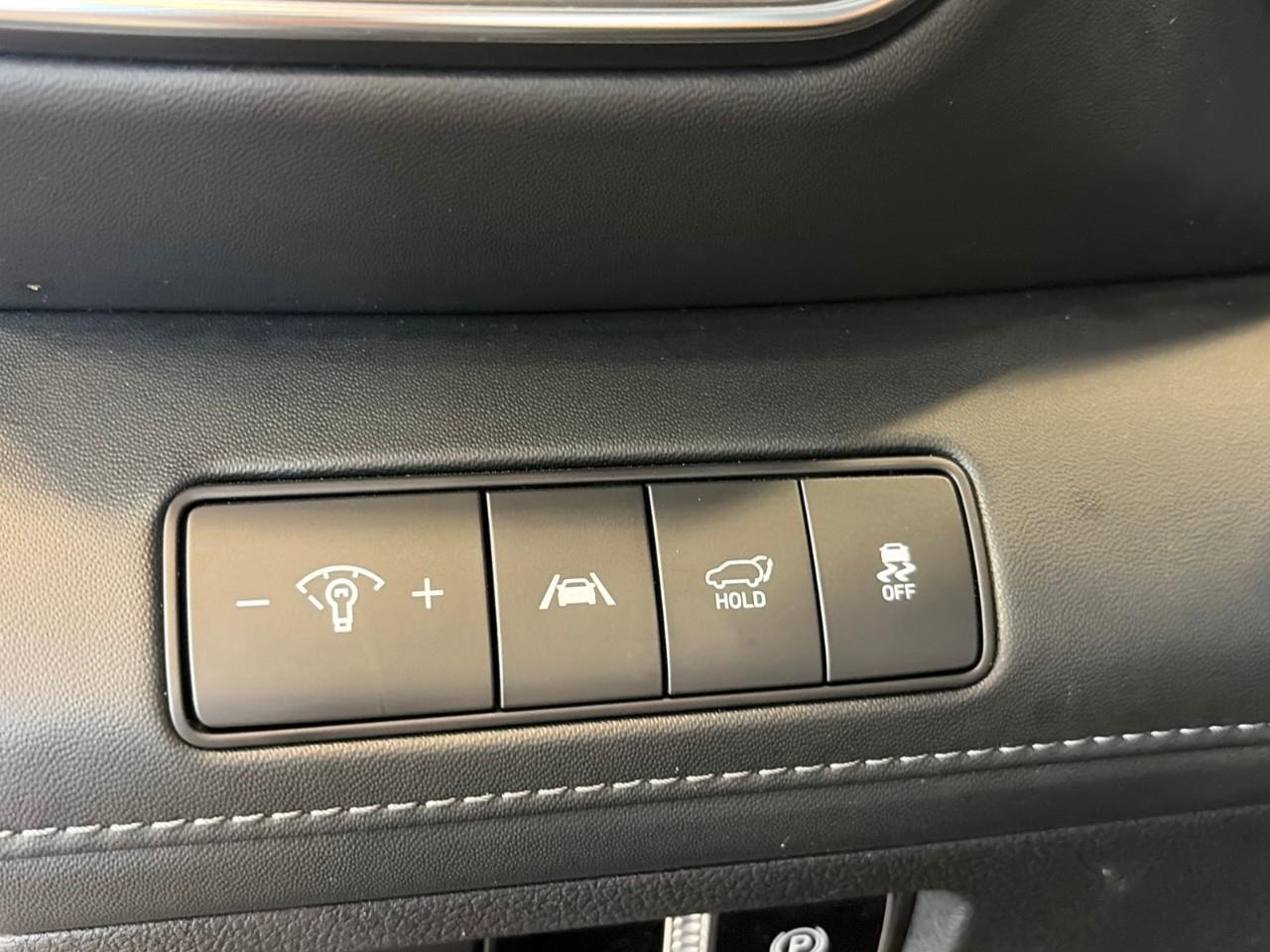 2021 Hyundai Santa Fe Ultimate Calligraphy 4dr All-Wheel Drive Photo