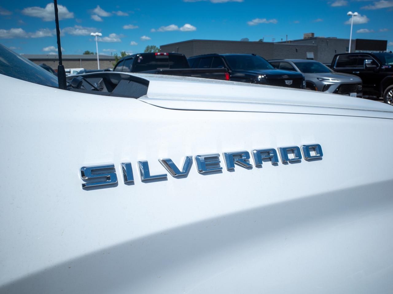 2019 Chevrolet Silverado 1500 LT - Cloth Seats   Back-Up Camera Photo