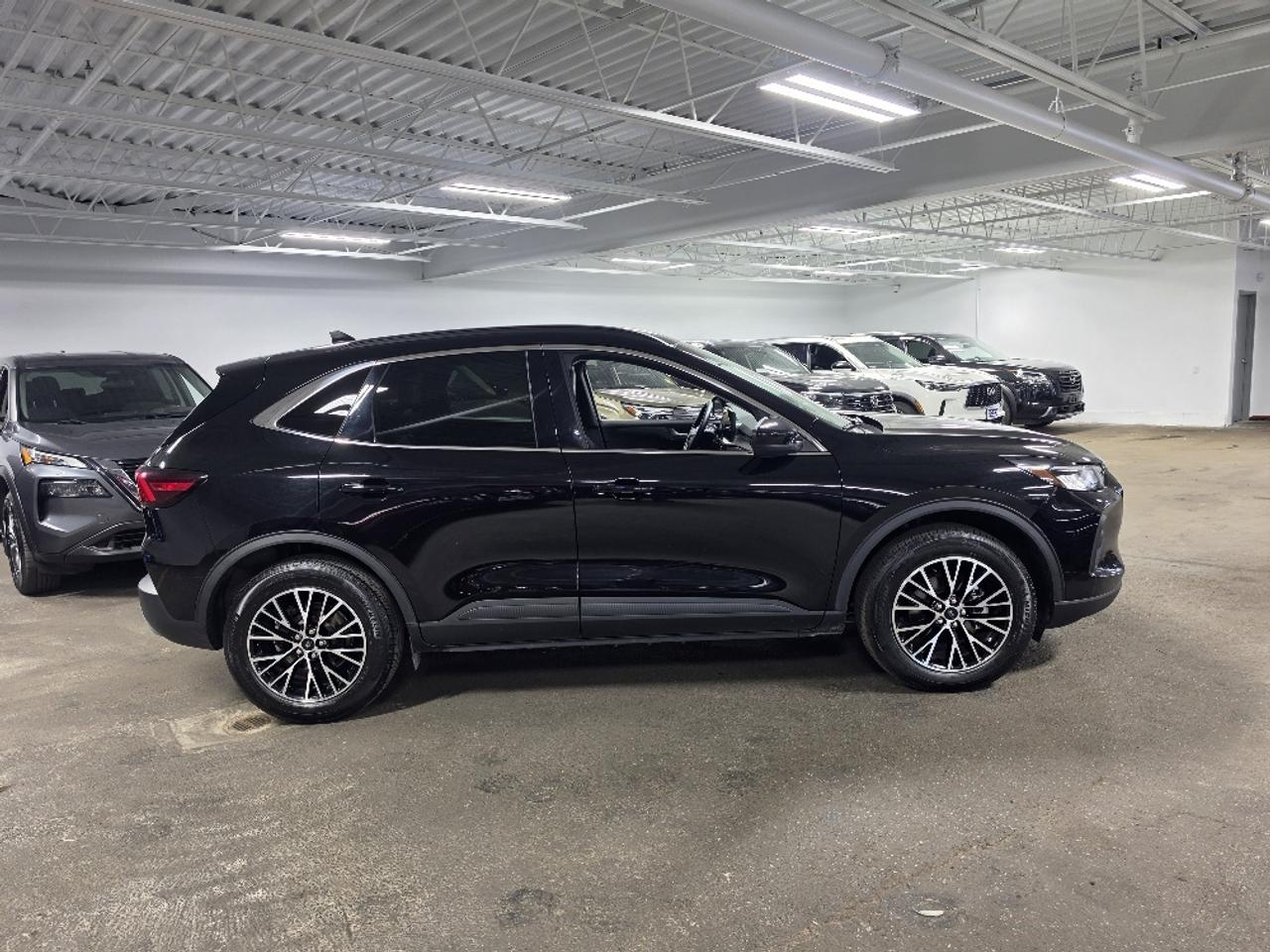 2025 Ford Escape PHEV 4dr Front-Wheel Drive Photo