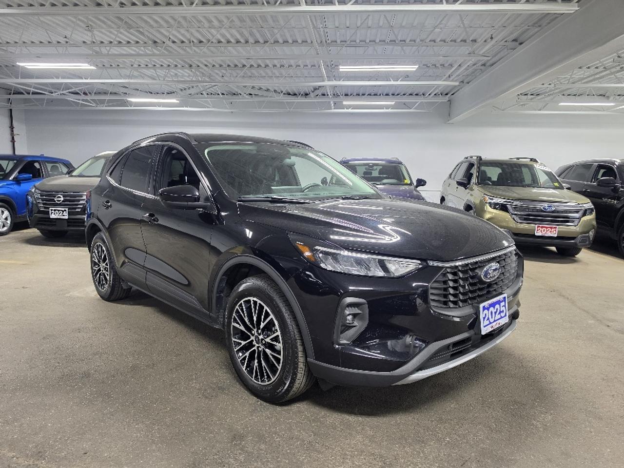 2025 Ford Escape PHEV 4dr Front-Wheel Drive Photo