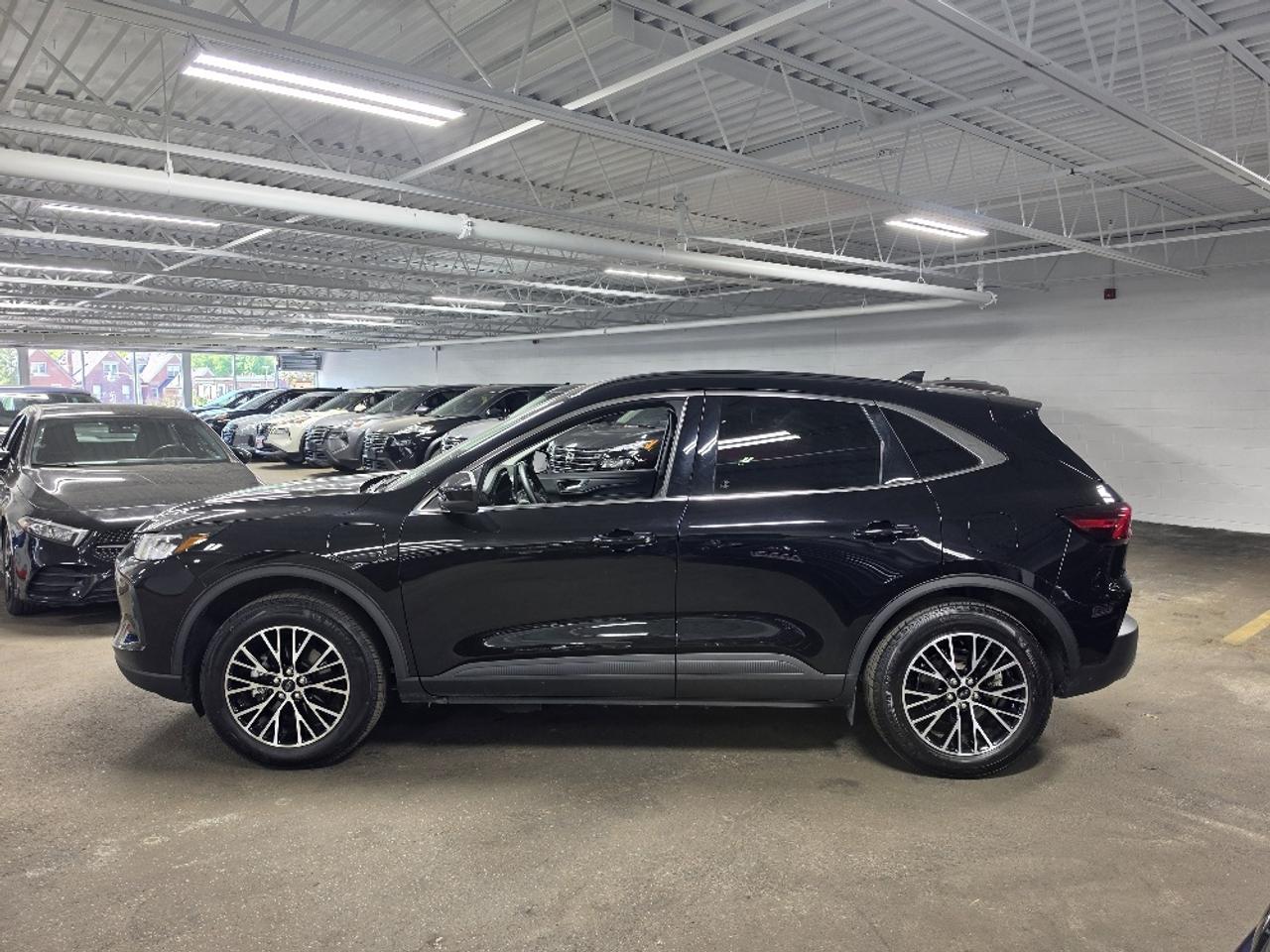 2025 Ford Escape PHEV 4dr Front-Wheel Drive Photo