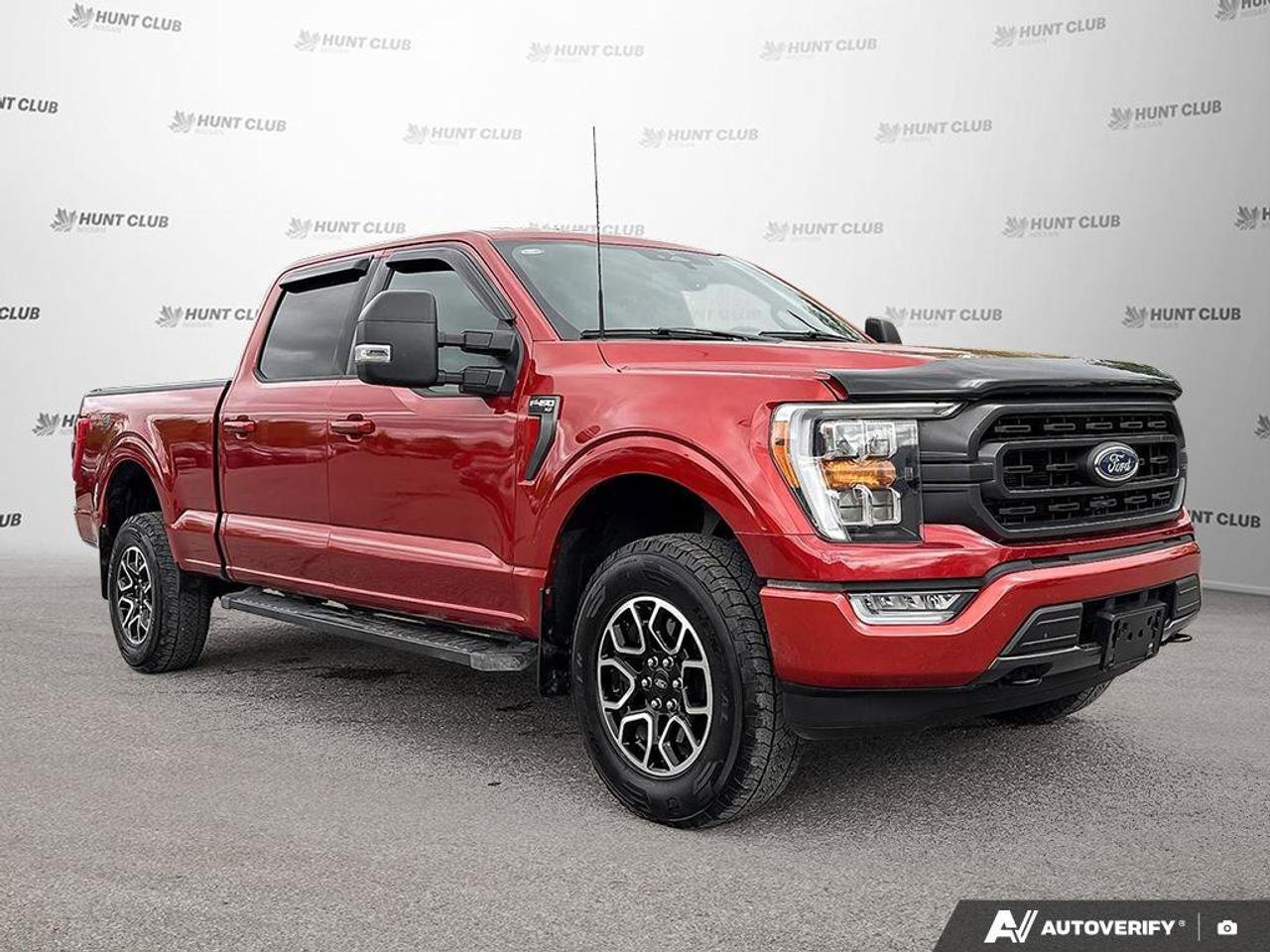 2023 Ford F-150 XL Photo