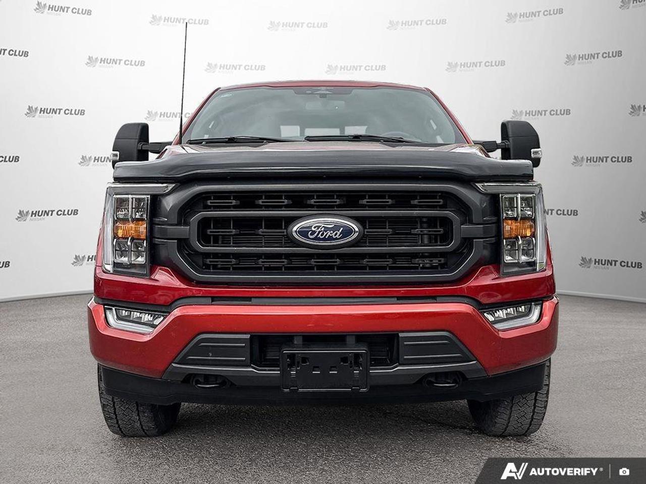 2023 Ford F-150 XL Photo