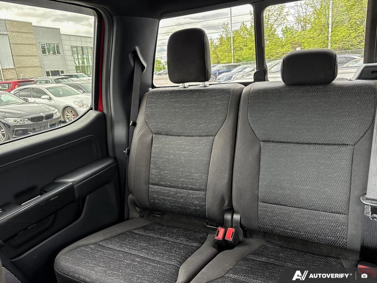 2023 Ford F-150 XL Photo