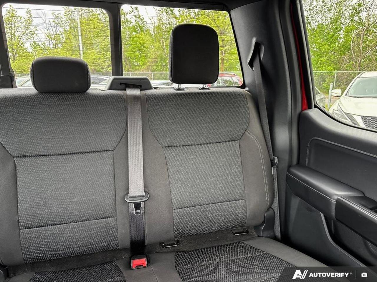 2023 Ford F-150 XL Photo