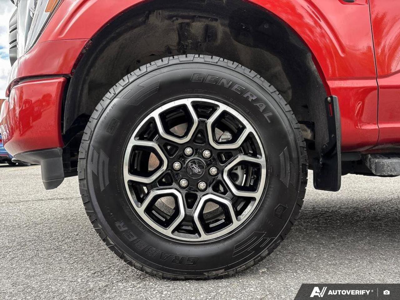 2023 Ford F-150 XL Photo