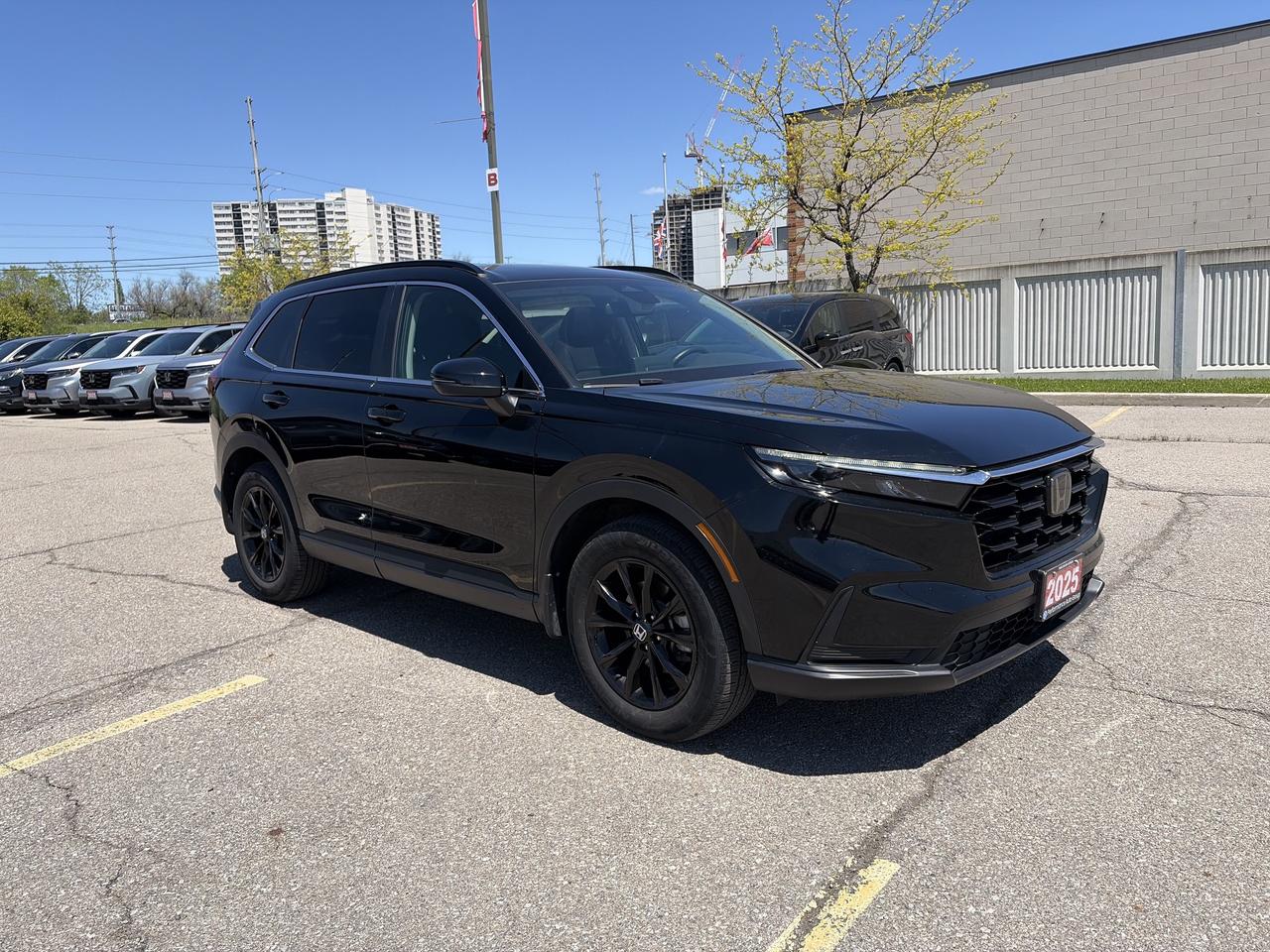 2025 Honda CR-V Sport Photo