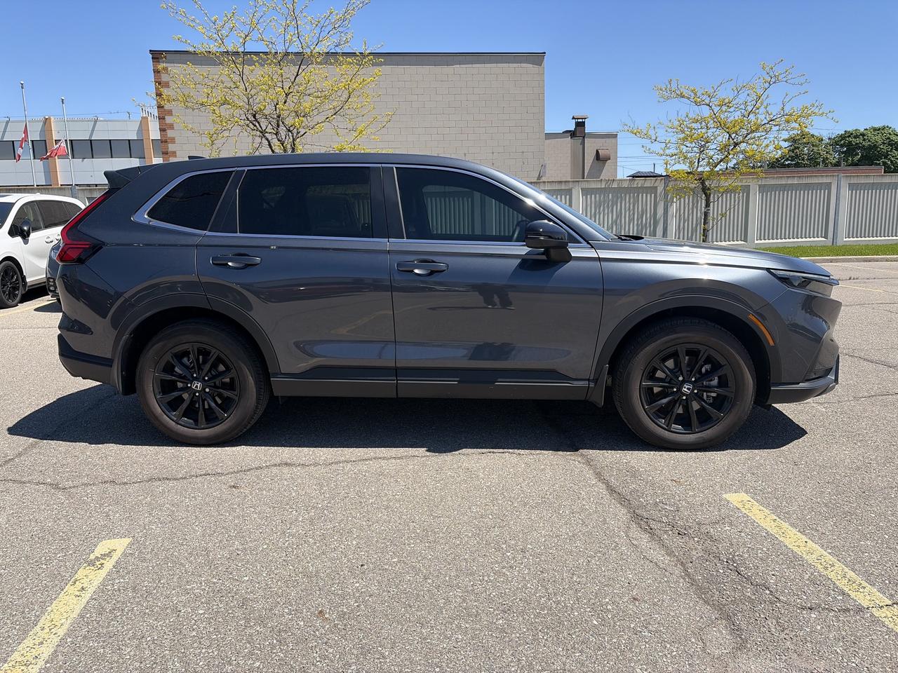 2025 Honda CR-V EX-L Photo