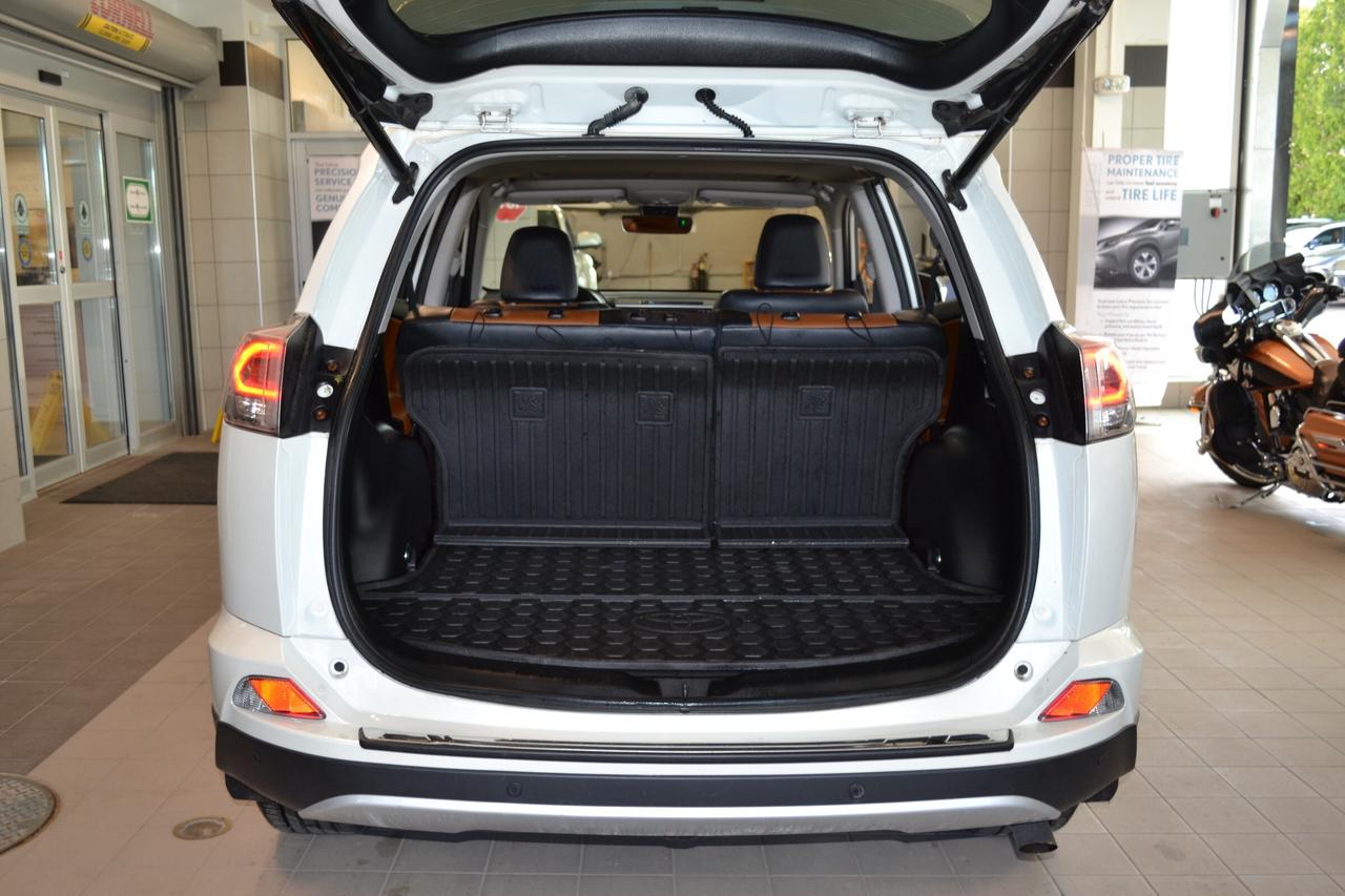2016 Toyota RAV4 LIMITED  Photo