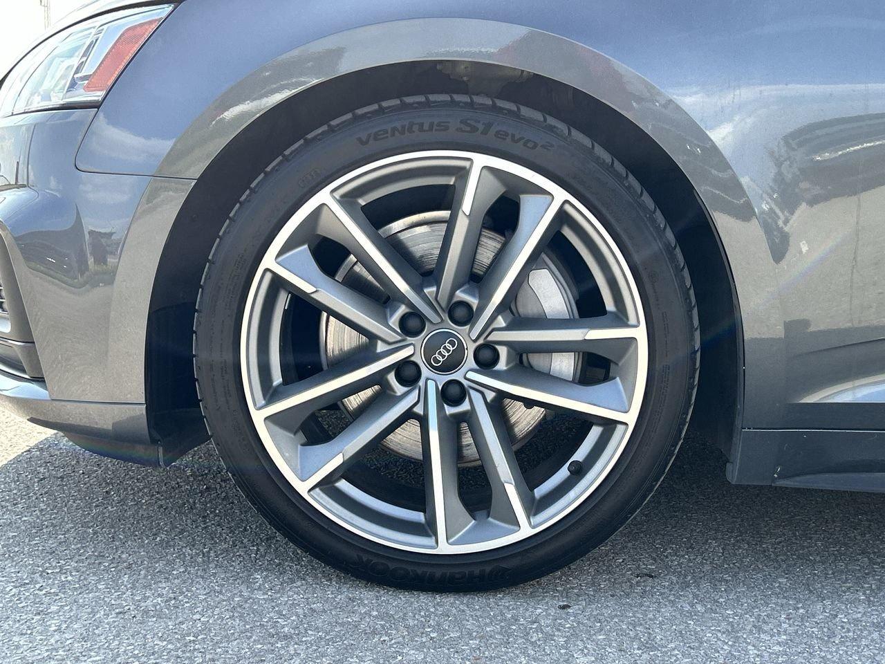 2019 Audi A5 Sportback 2.0T Progressiv   Accident-Free Photo
