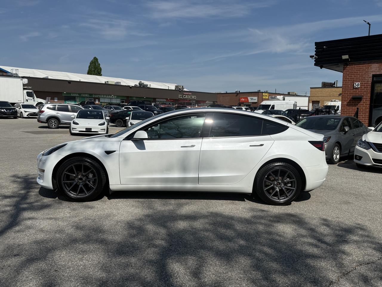 2023 Tesla Model 3 Tesla Warranty l LFP l RWD l 438KM Range l Photo3