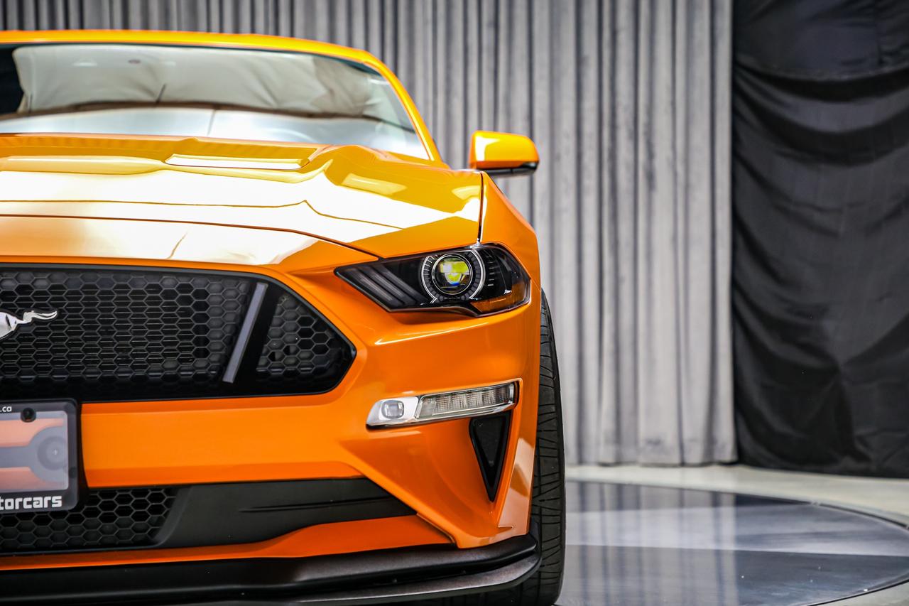 2020 Ford Mustang GT PREMIUM PP2 MANUAL 460HP RECARO NOACCDNT LOADED Photo