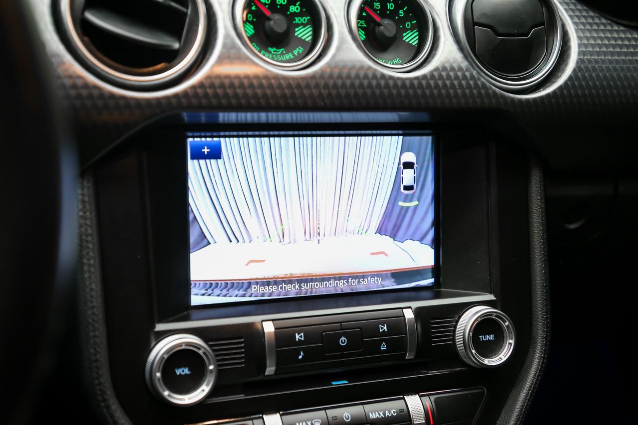 2020 Ford Mustang GT PREMIUM PP2 MANUAL 460HP RECARO NOACCDNT LOADED Photo