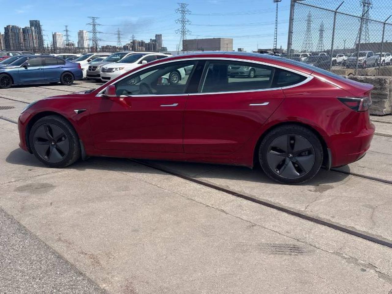 2019 Tesla Model 3 No Accidents l Stndrd Range Plus l RWD l Photo