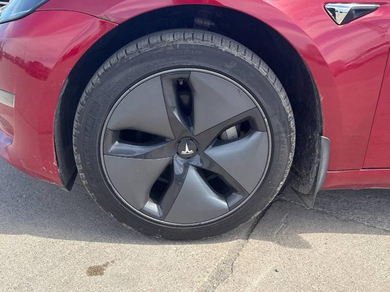 2019 Tesla Model 3 No Accidents l Stndrd Range Plus l RWD l Photo