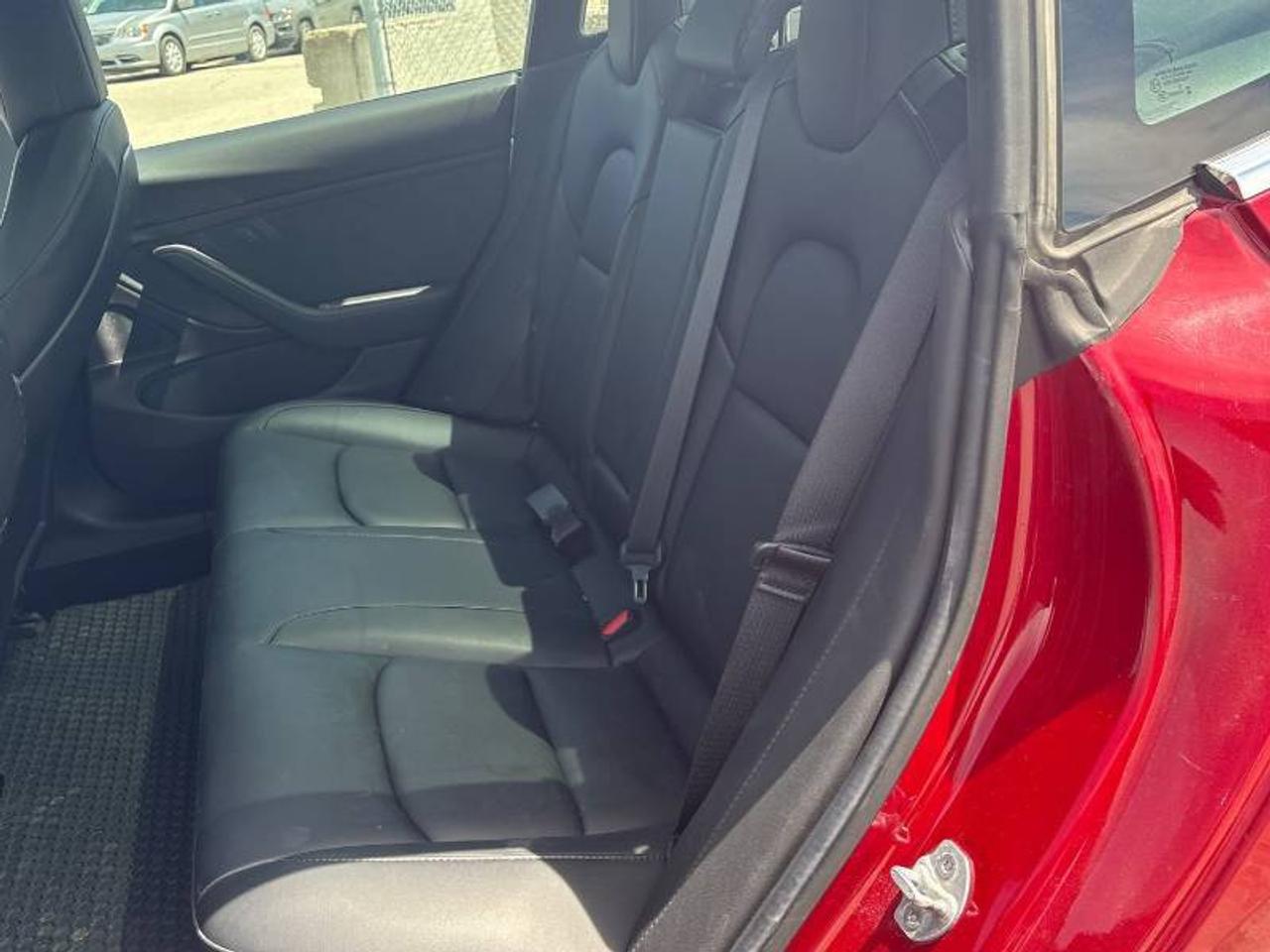 2019 Tesla Model 3 No Accidents l Stndrd Range Plus l RWD l Photo