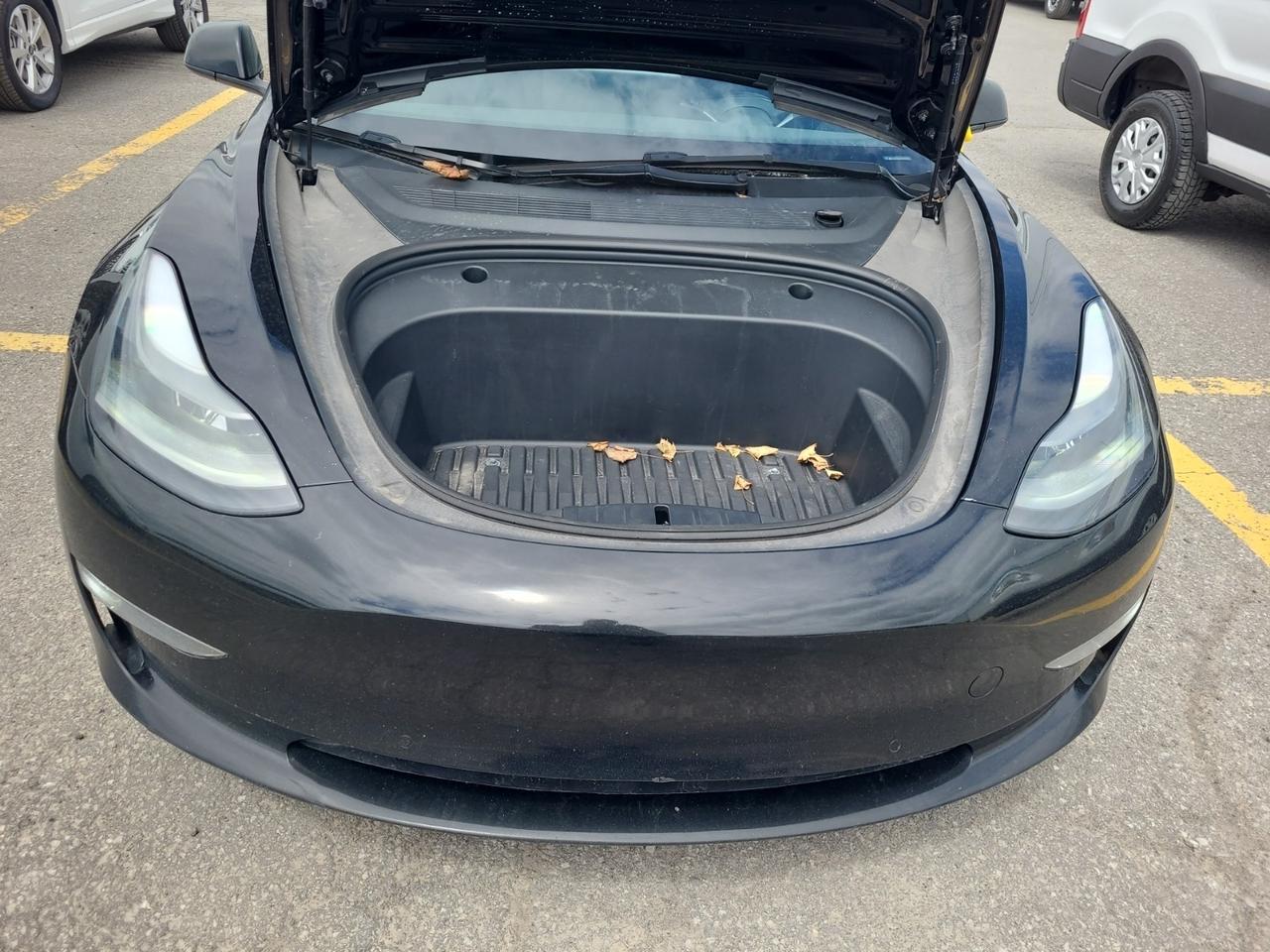 2022 Tesla Model 3 Standard Range l Tesla Warranty l LFP l Ryzen Photo