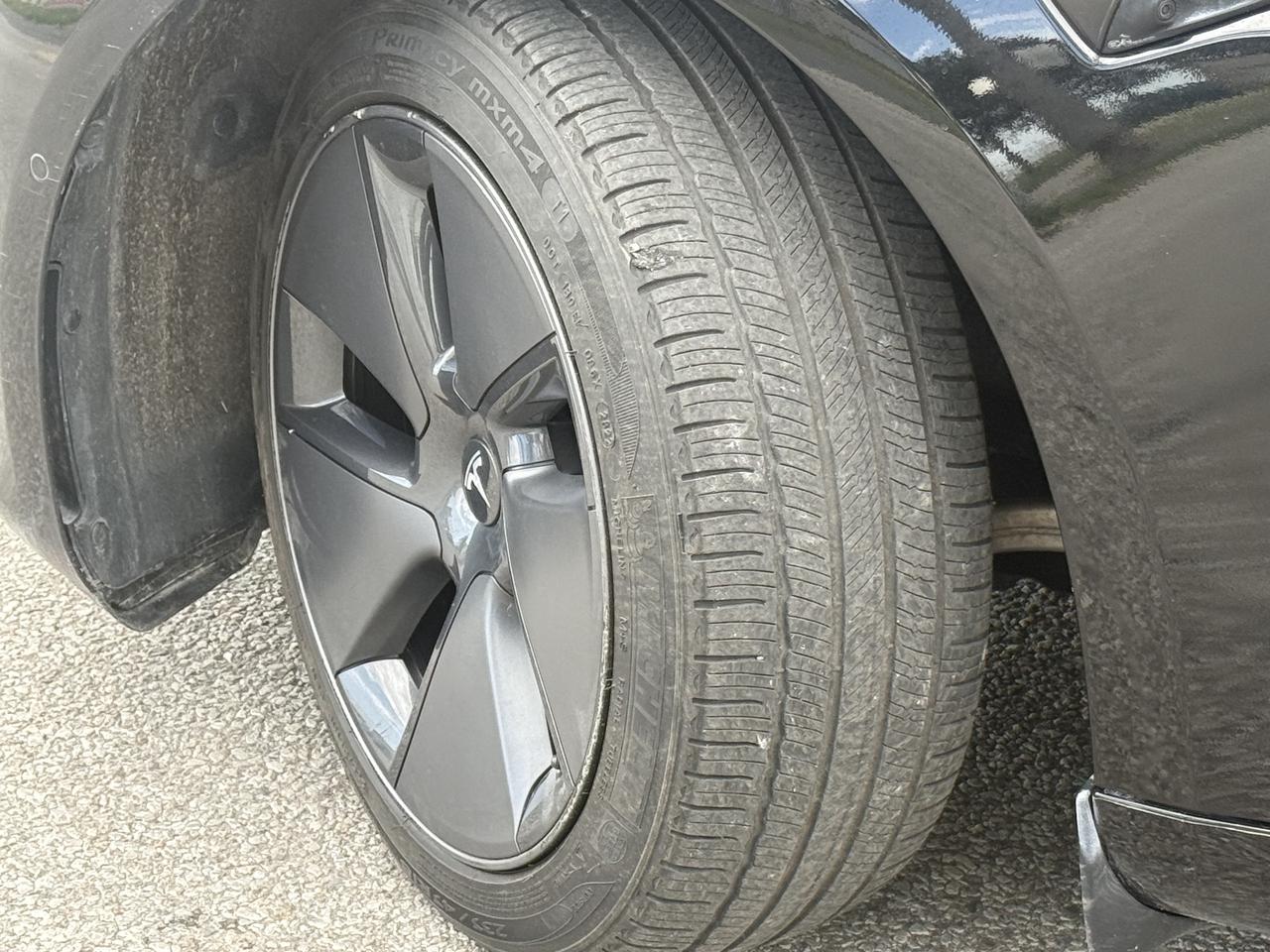 2022 Tesla Model 3 Standard Range l Tesla Warranty l LFP l Ryzen Photo