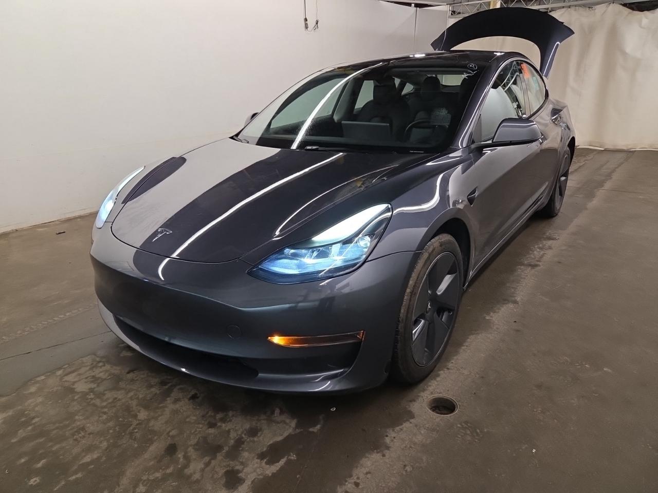 2023 Tesla Model 3 Standard Range l RWD l TeslaWarranty l LFP l Ryzen Photo