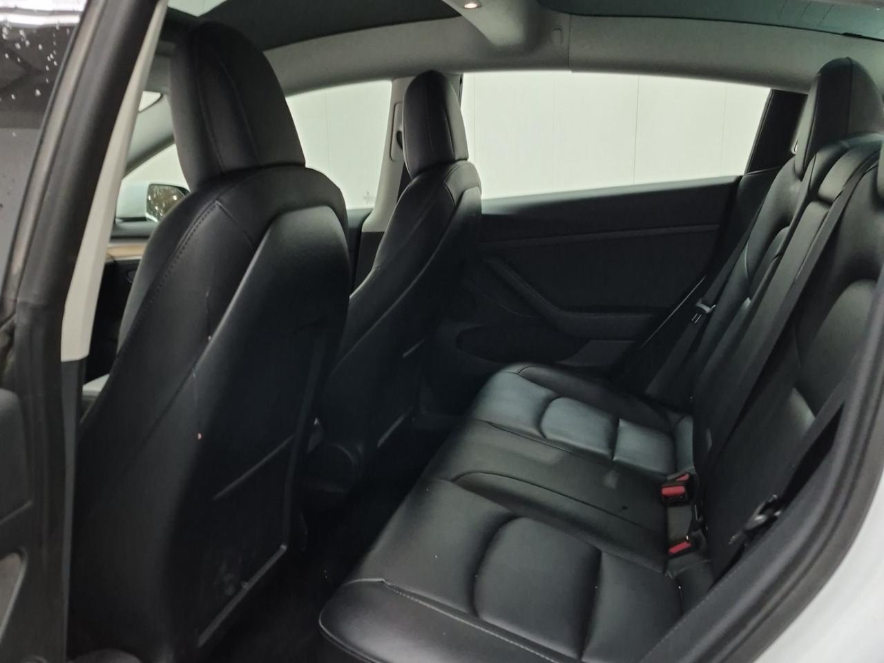 2022 Tesla Model 3 No Accidents l Stndrd Range l LFP l Ryzen l RWD Photo