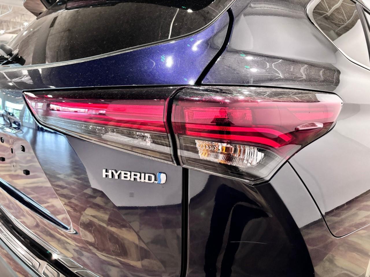 2024 Toyota Highlander Hybrid XLE Photo