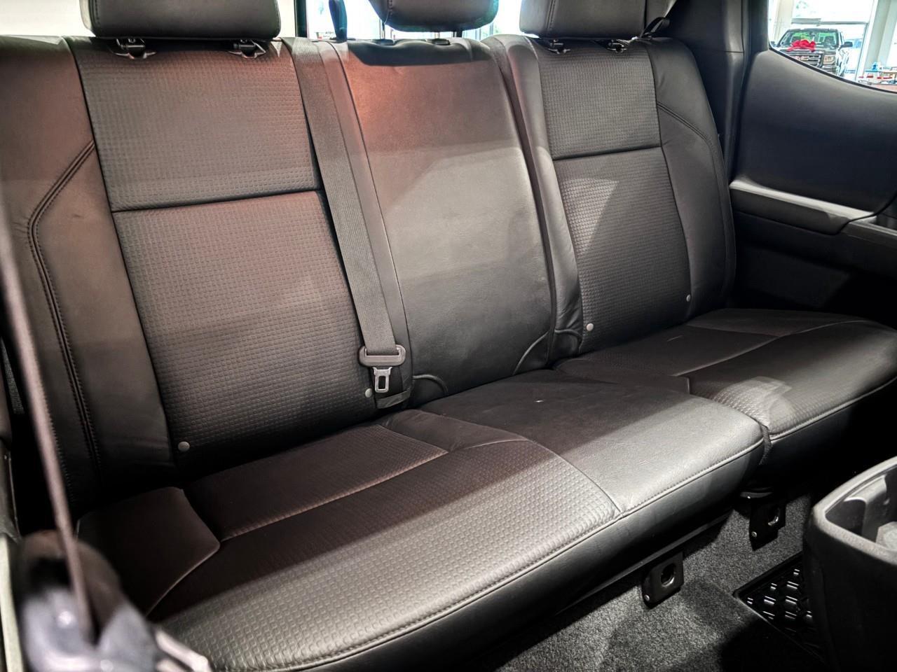 2023 Toyota Tacoma PREMIUM LEATHER SPORT - MANUAL Photo