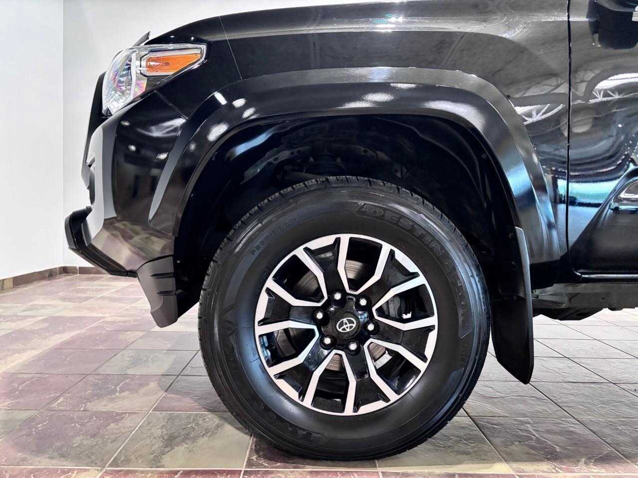 2023 Toyota Tacoma PREMIUM LEATHER SPORT - MANUAL Photo