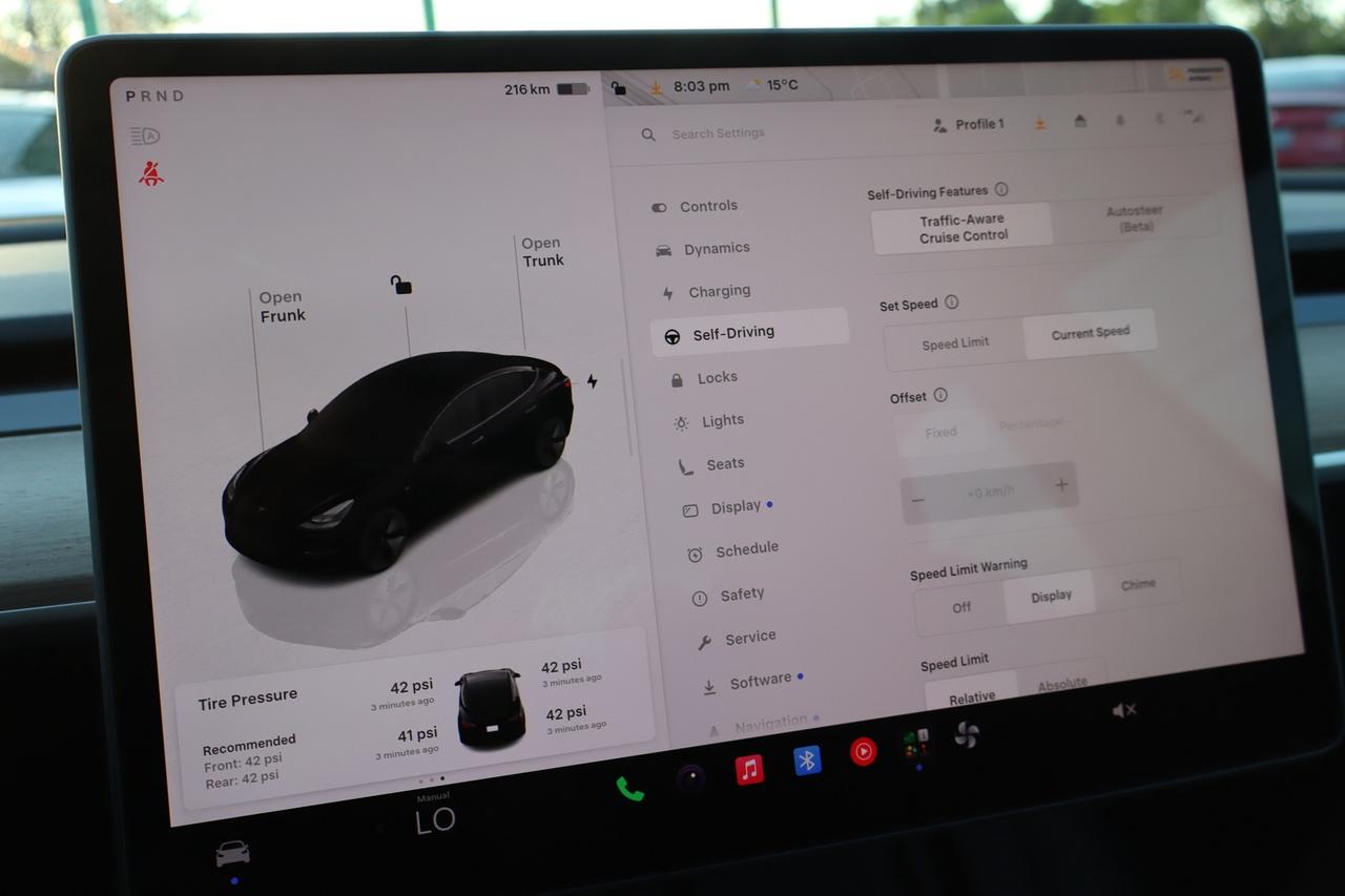2023 Tesla Model 3 Standard Range Plus   No Accident   Clean Carfax Photo
