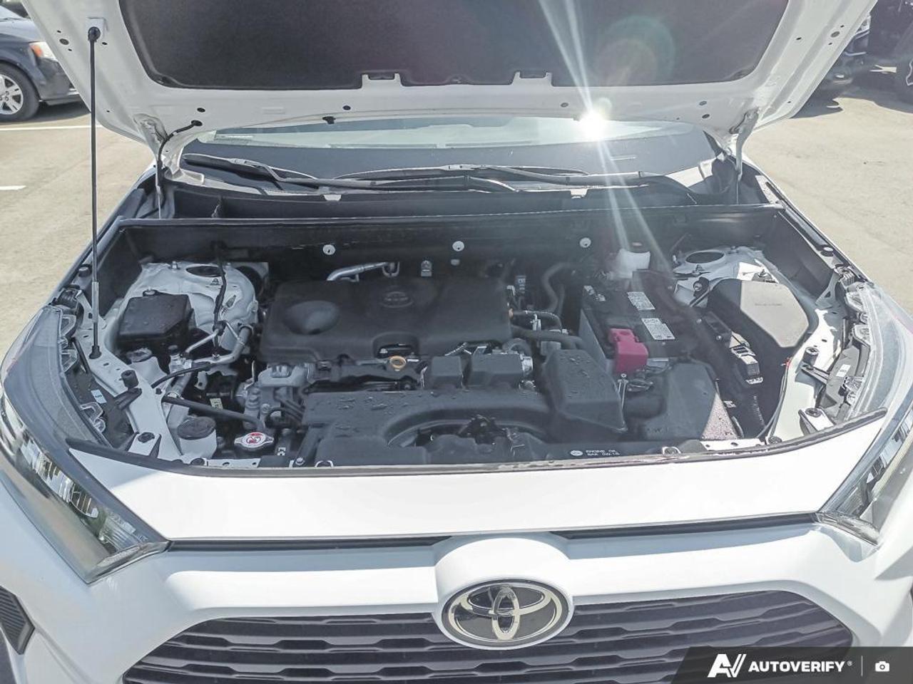 2025 Toyota RAV4 LE 4dr All-wheel Drive Photo