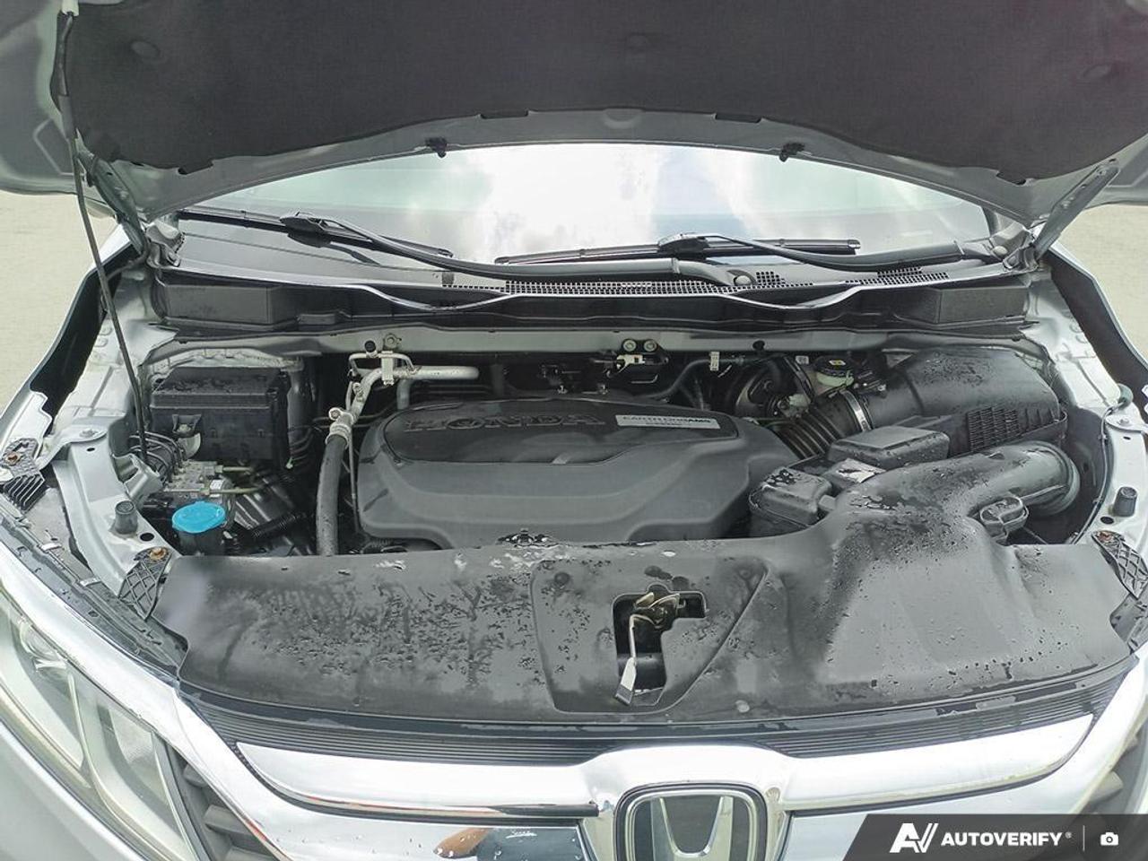 2019 Honda Odyssey  Photo