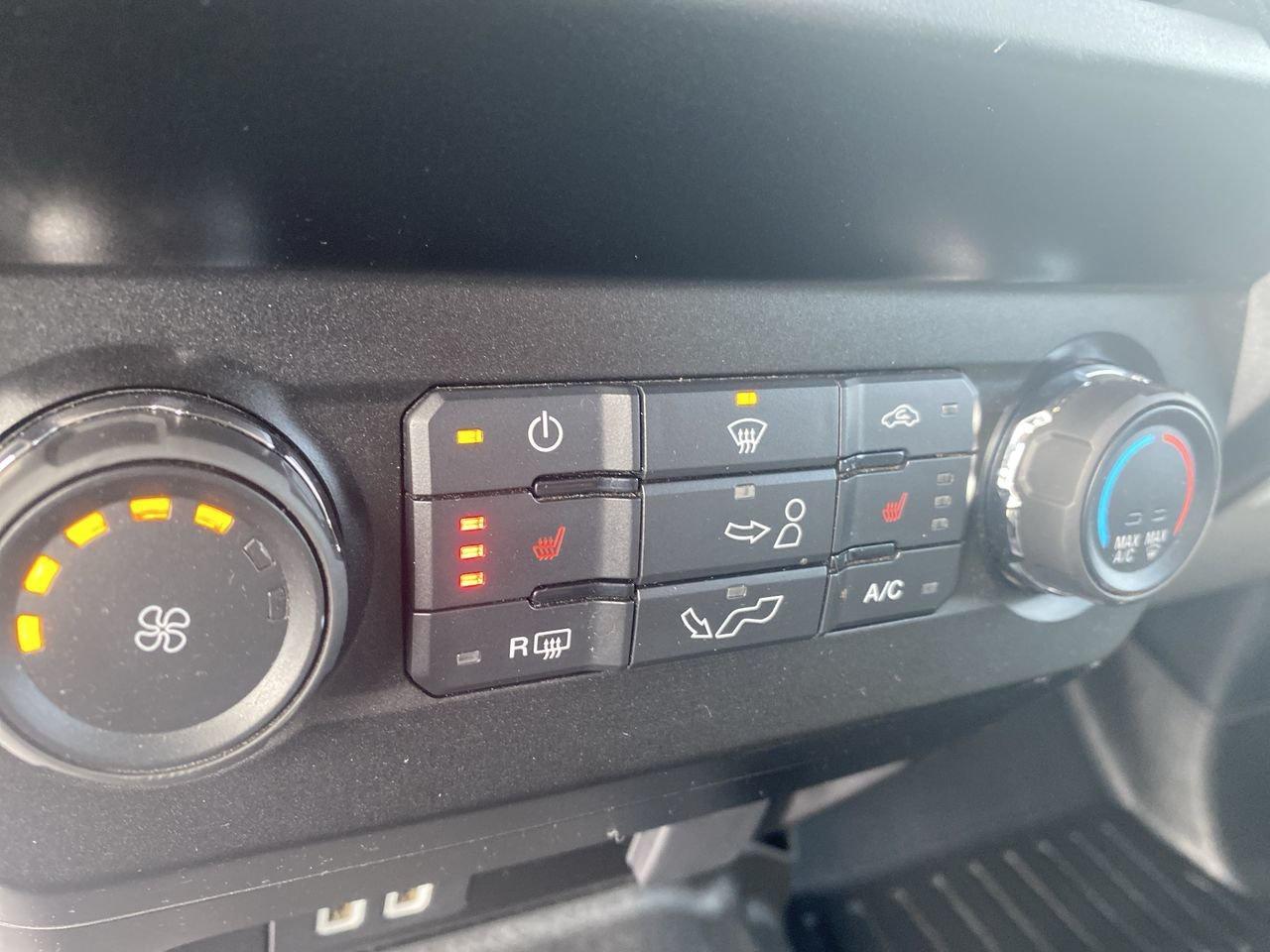 2020 Ford F-150 XLT Photo