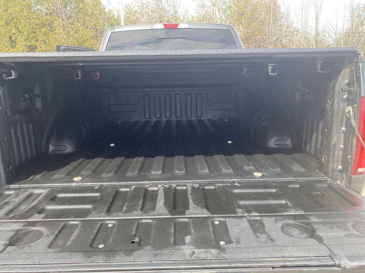 2020 Ford F-150 XLT Photo