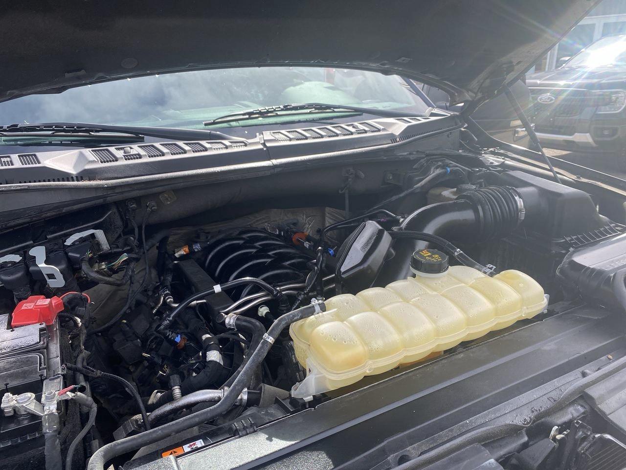 2020 Ford F-150 XLT Photo