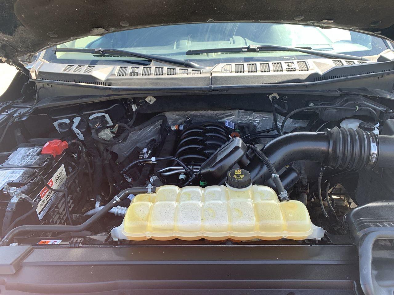 2018 Ford F-150 XLT Photo