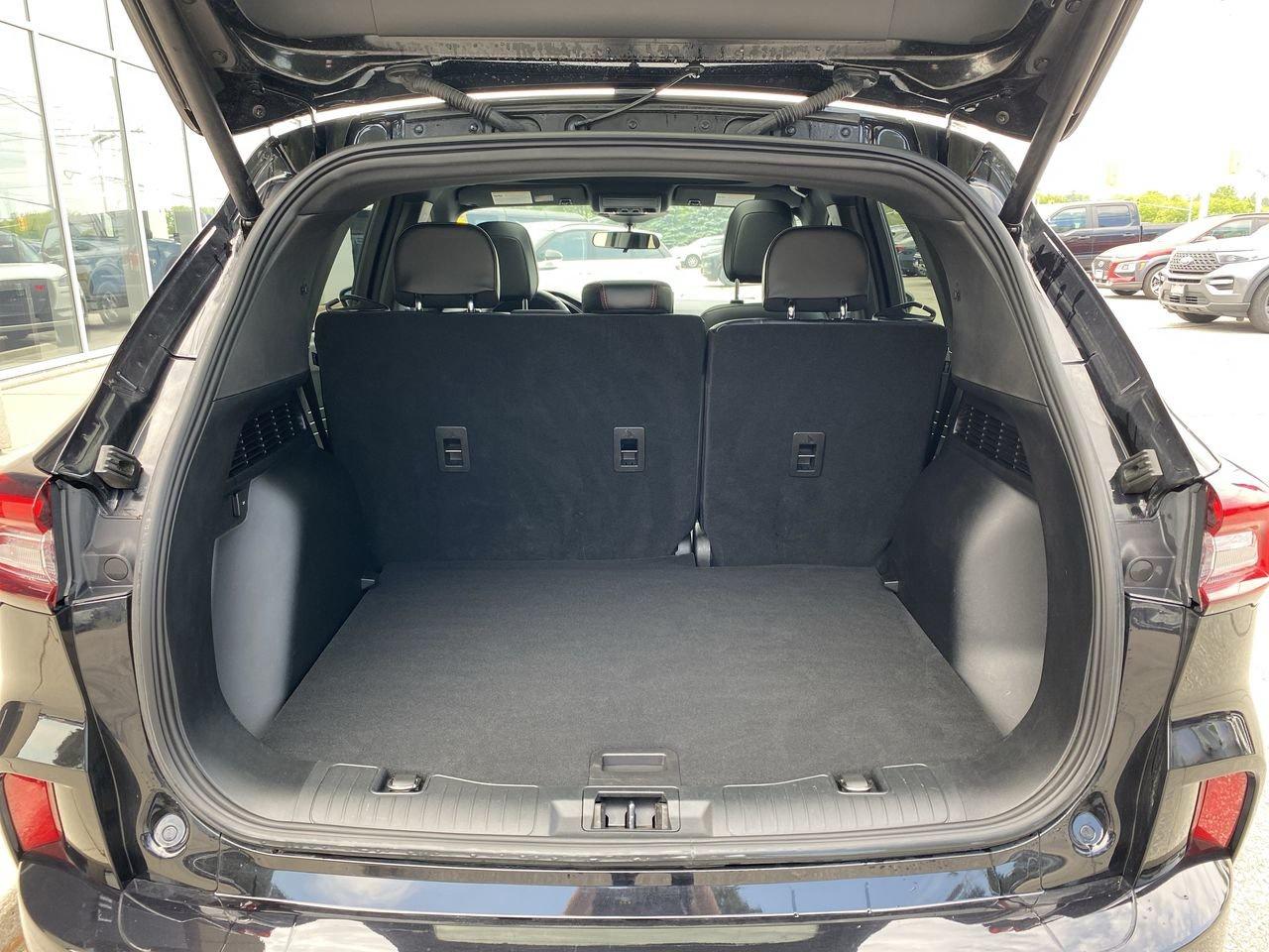 2023 Ford Escape ST-Line Photo